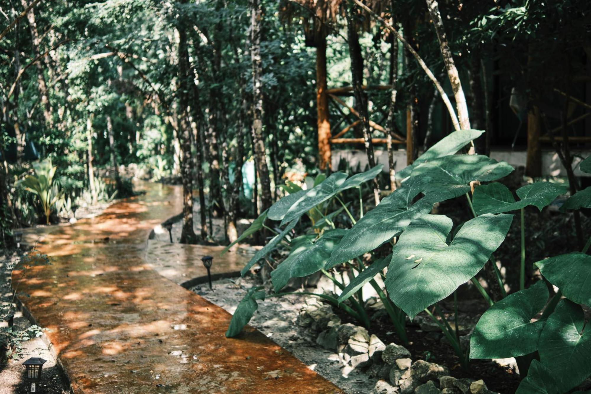 Villas Zamna - Jungle Villas Cozumel Exterior foto