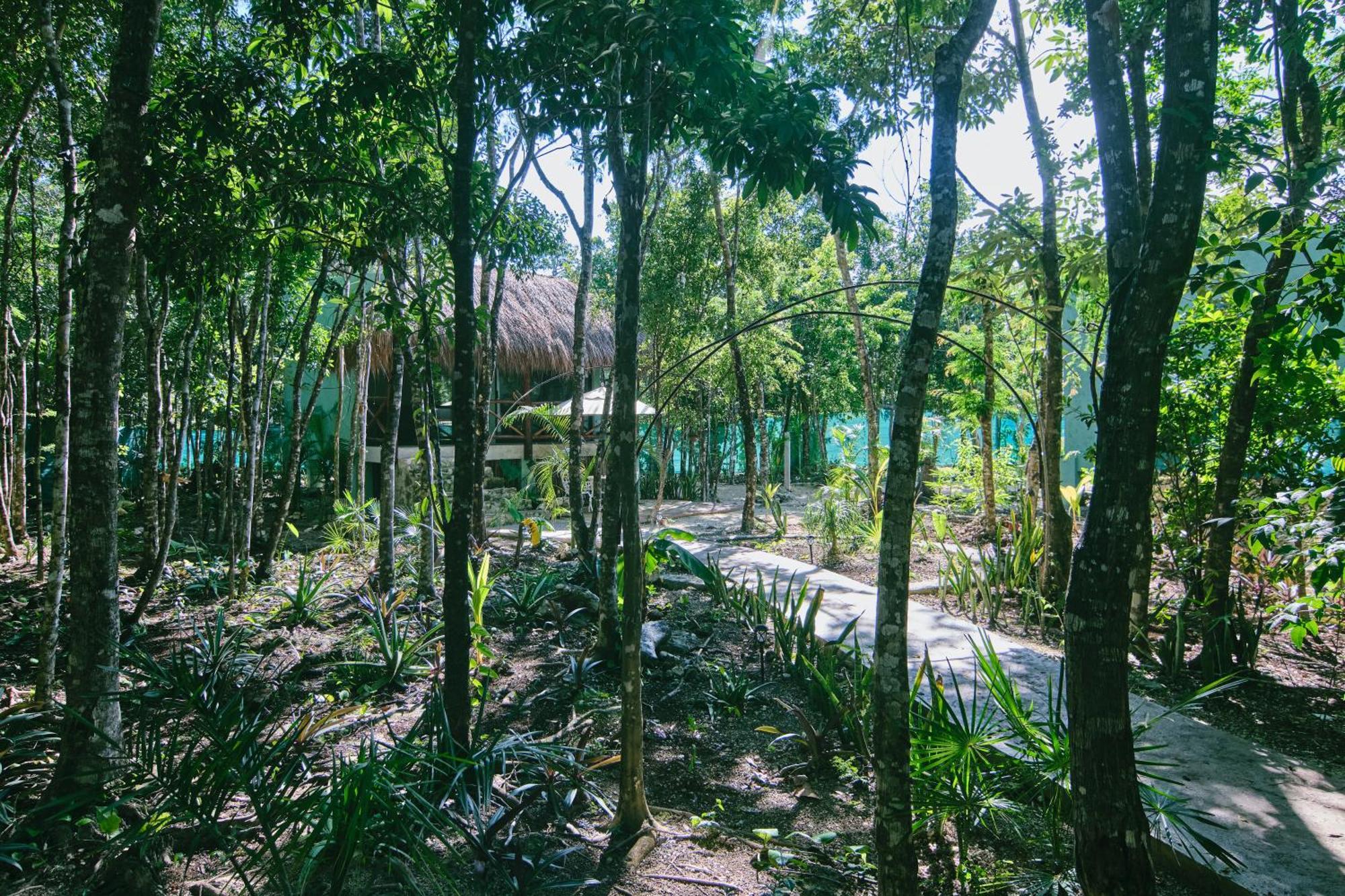 Villas Zamna - Jungle Villas Cozumel Exterior foto